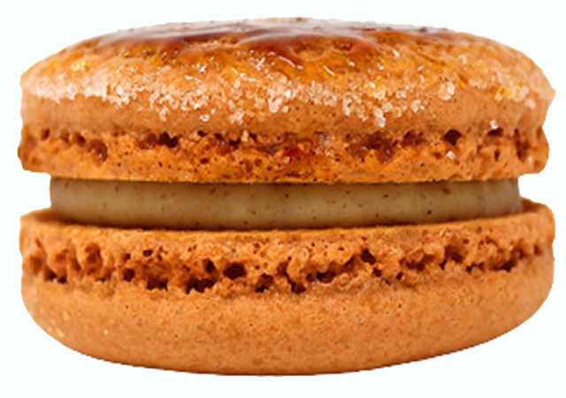 Pumpkin Spice Creme Brulee
