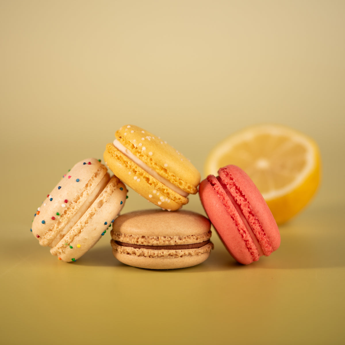 Cake Macaron Collection