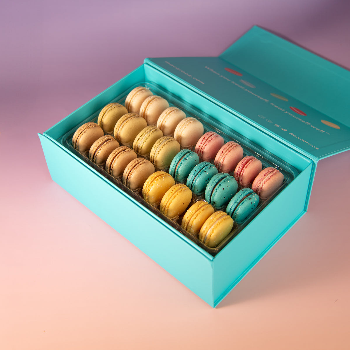 Classic Macaron Collection