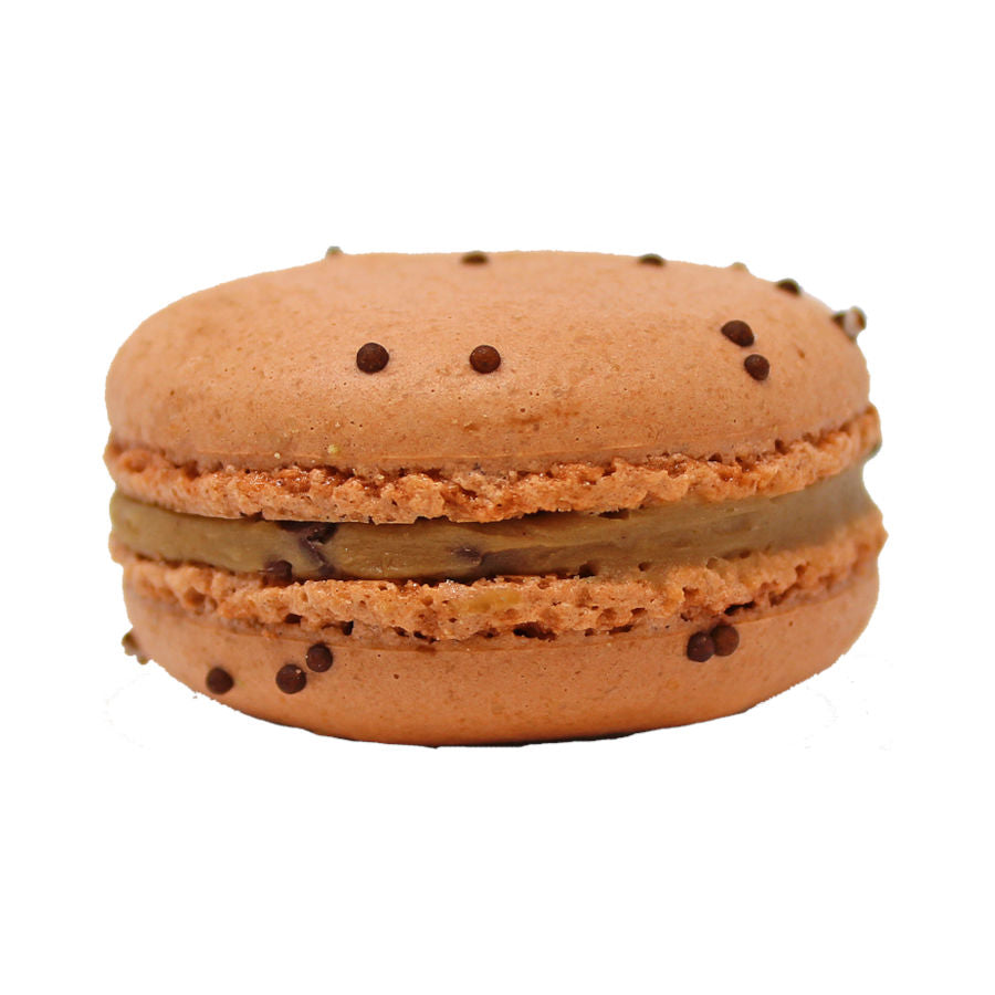 Chocolate Chip