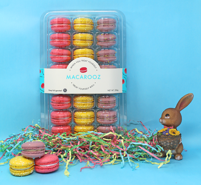 Easter Set 5: 24ct Macarons