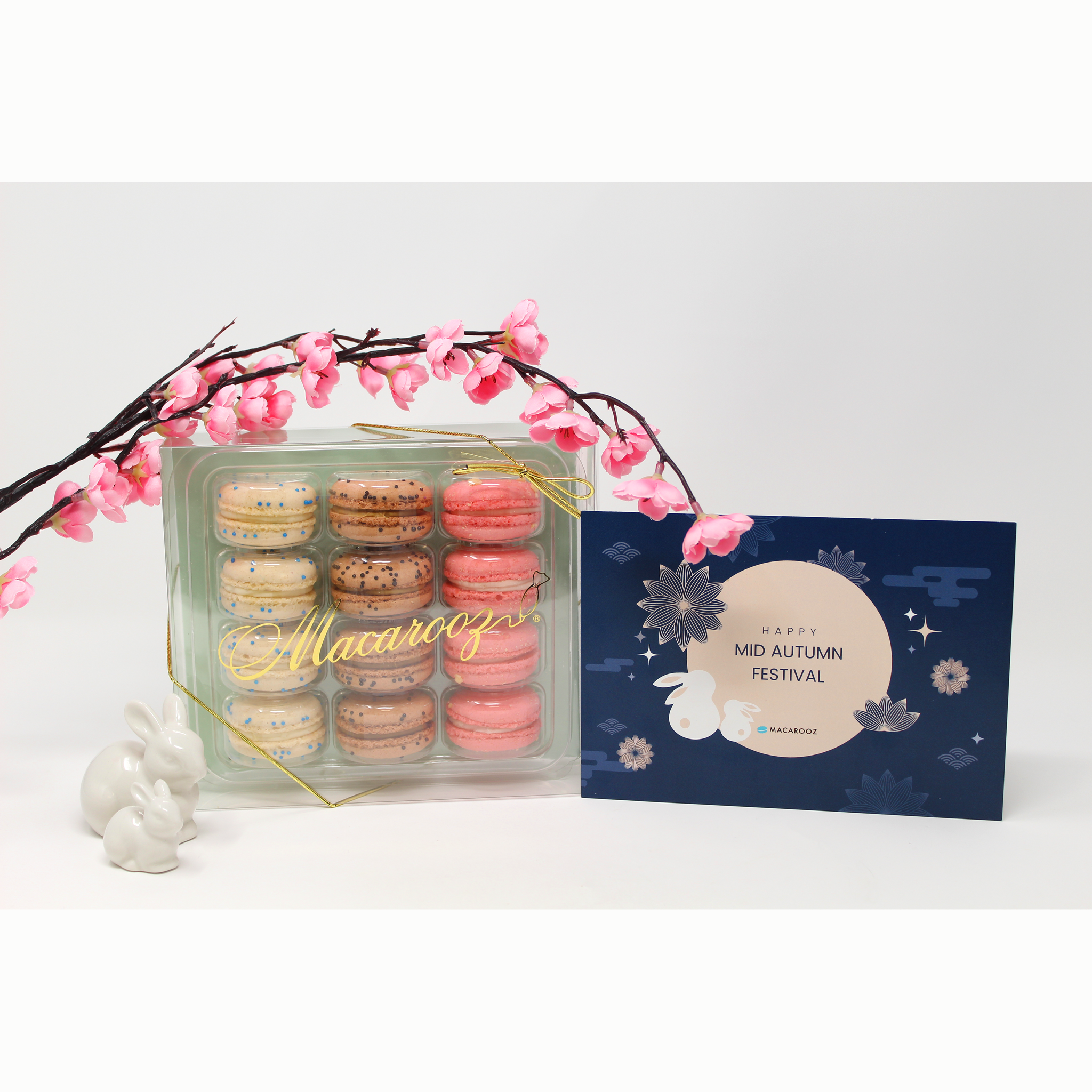 Fruit Macaron Collection - Macarooz