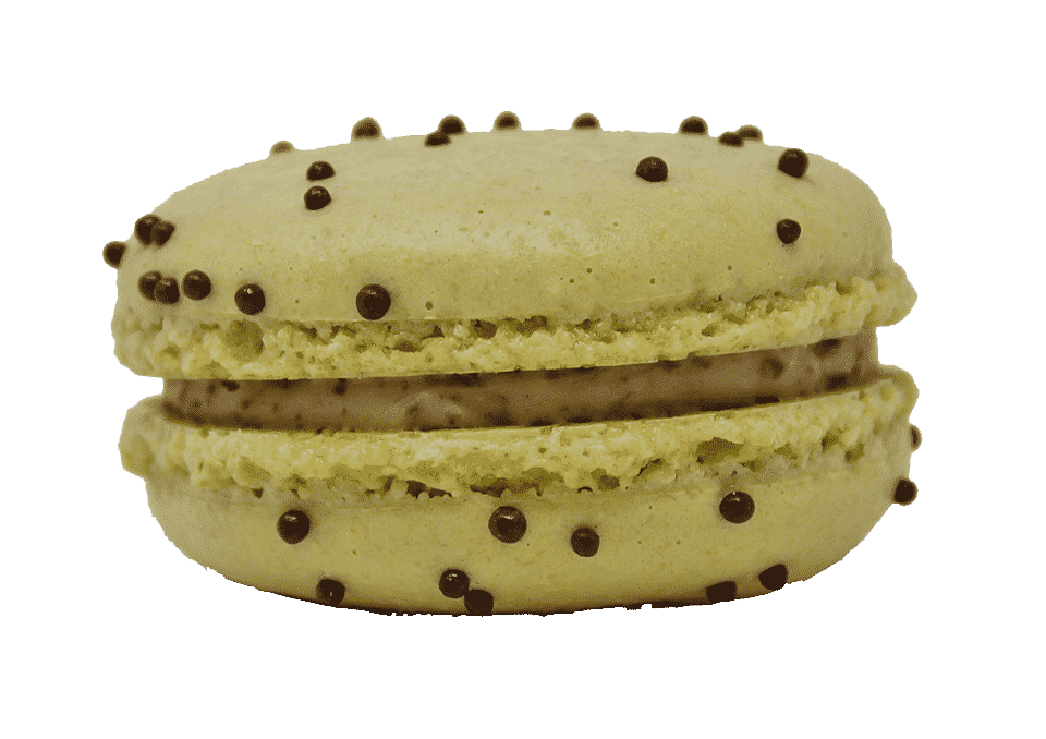 Mint Chocolate Chip Macaron