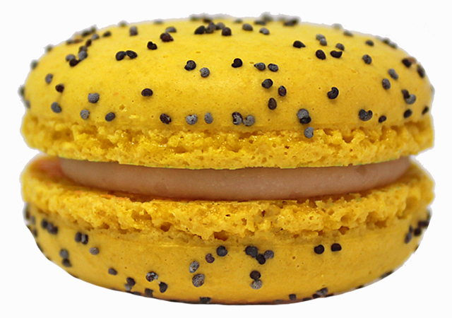 Lemon Raspberry Poppy Seed